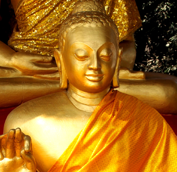 Mahatma Articles 